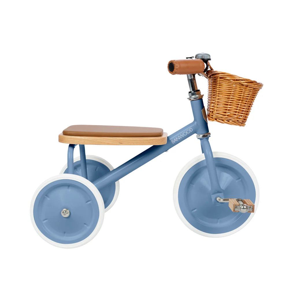 Banwood Trike Blue