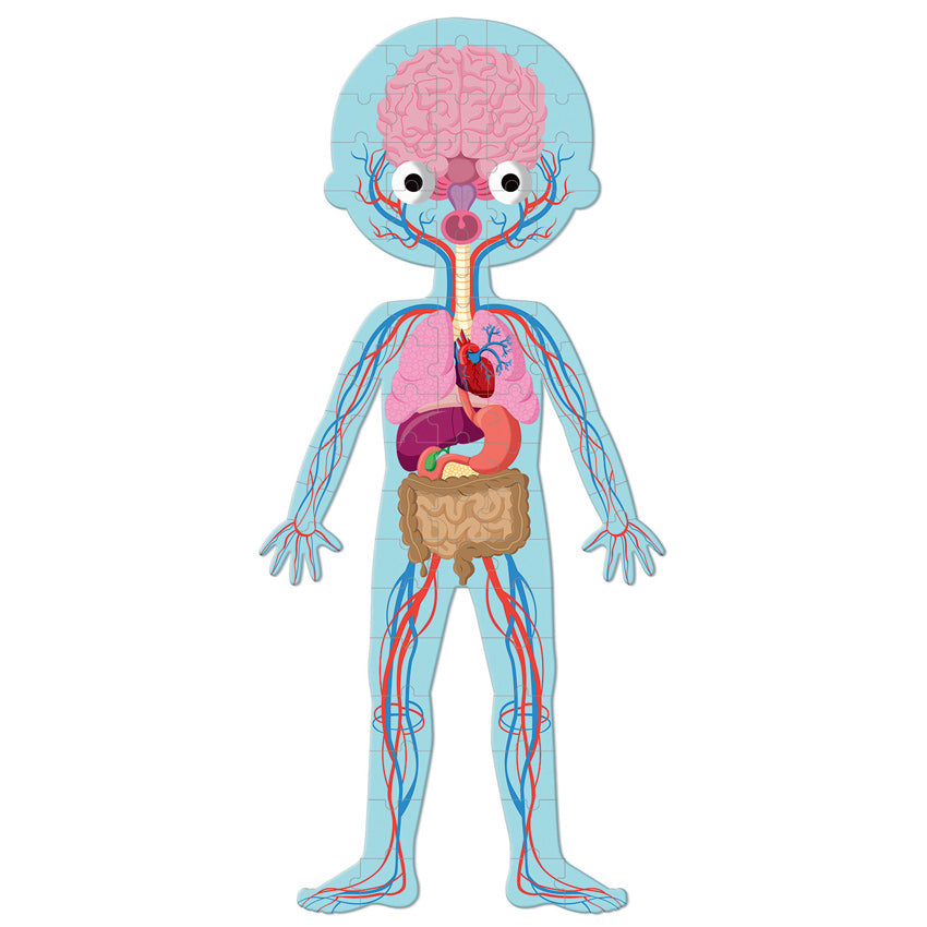 Janod - Body Puzzles